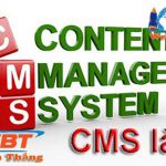 CMS là gì? Những CMS được sử dụng rộng rãi nhất.