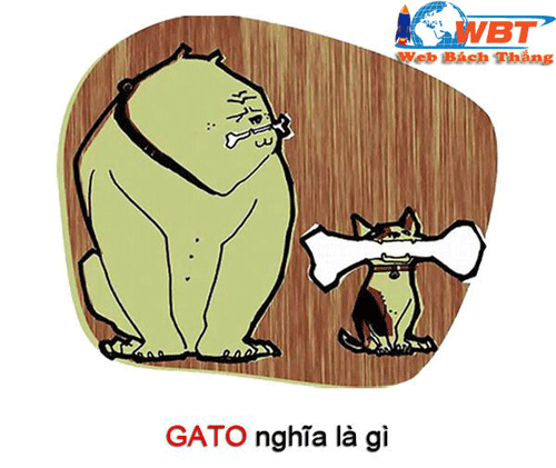 những câu nói gato hay dùng