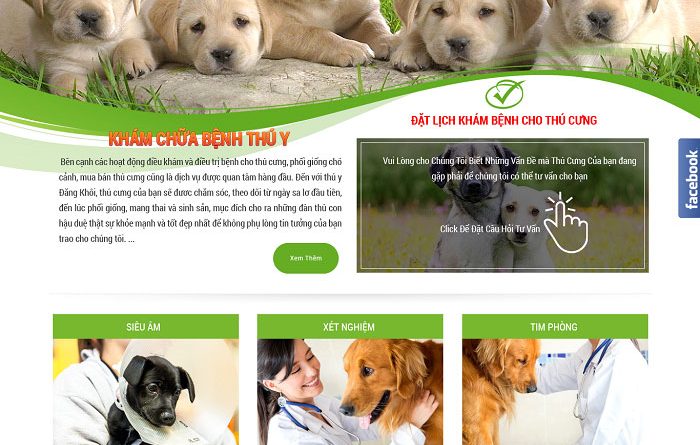 Thiết kế website bệnh viện thú y chuyên nghiệp theo yêu cầu