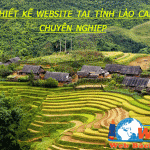 Thiết kế website tại tỉnh Lào Cai chất lượng tốt chuyên nghiệp