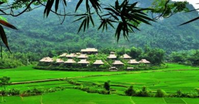 Tour Mộc Châu Arena Resort 2 ngày 1 đêm cùng the sinh cafe tourist