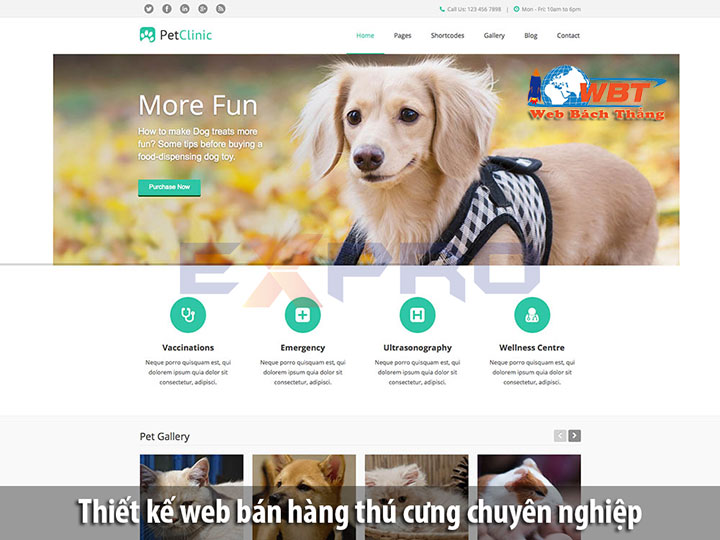 Thiết kế website bán thú cưng chuyên nghiệp