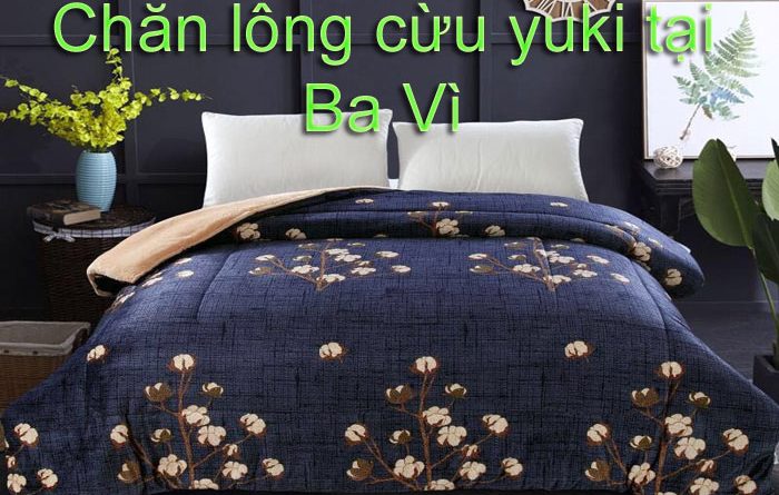 Chăn lông cừu yuki tại ba vì