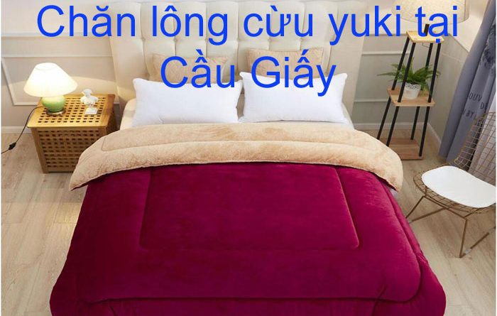 Chăn lông cừu yuki tại cầu giấy