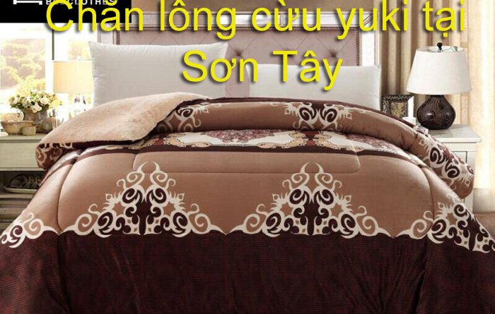 Chăn lông cừu yuki tại sơn tây