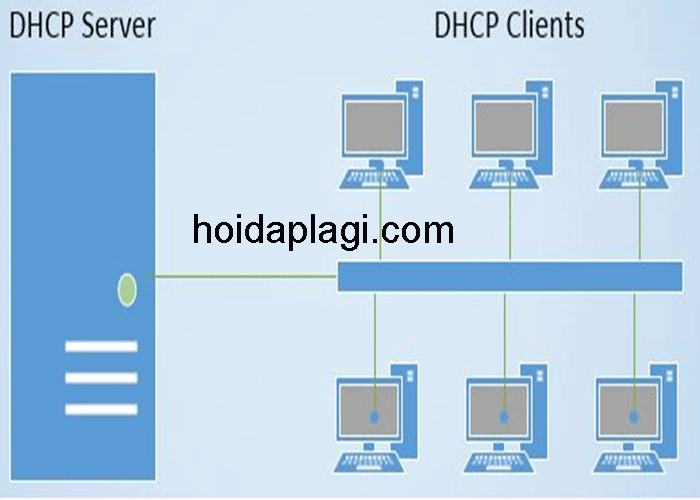 DHCP là gì