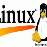 Linux Là Gì? – Ưu Điểm Và Nhược Điểm – hoidaplagi