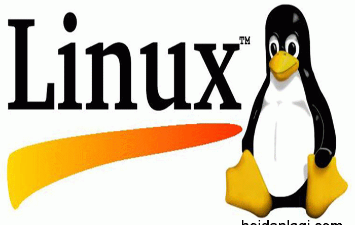 Linux là gì