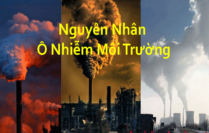 Nguyên Nhân Ô Nhiễm Môi Trường