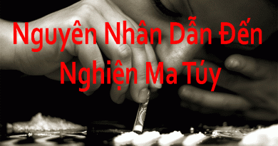 Nguyên Nhân Nghiện Ma Túy