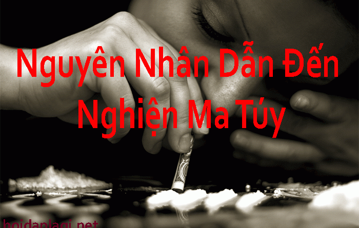 Nguyên Nhân Nghiện Ma Túy