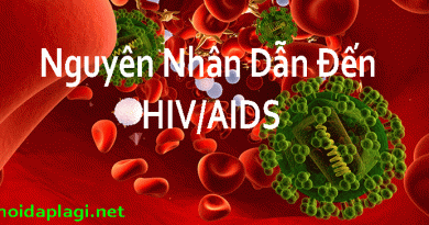 Nguyên Nhân Dẫn Đến HIV/AIDS