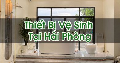Thiet Bi Ve Sinh Tai Hai Phong Hoi Dap La Gi Bt