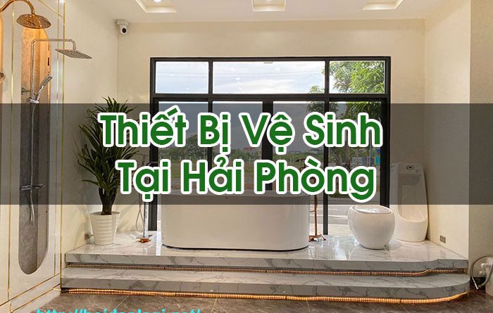 Thiet Bi Ve Sinh Tai Hai Phong Hoi Dap La Gi Bt