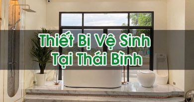 Thiết Bị Vệ Sinh Tại Thái Bình