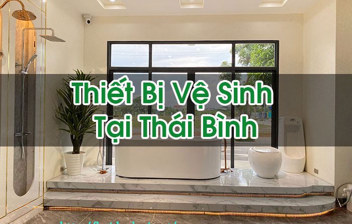 Thiết Bị Vệ Sinh Tại Thái Bình