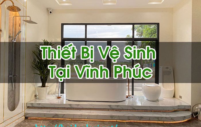 Thiết Bị Vệ Sinh Tại Vĩnh Phúc