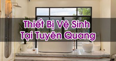 Thiet Bi Ve Sinh Tai Tuyen Quang Hoi Dap La Gi Bt