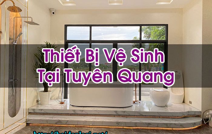 Thiet Bi Ve Sinh Tai Tuyen Quang Hoi Dap La Gi Bt