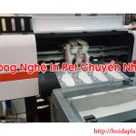 Công Nghệ In Pet Chuyển Nhiệt? Đơn Vị In Vải Hỏi Đáp Là Gì BT