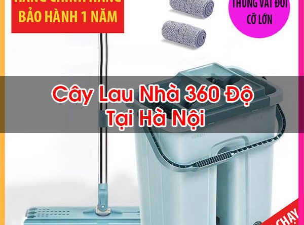 Cây Lau Nhà 360 Độ Tại Hà Nội