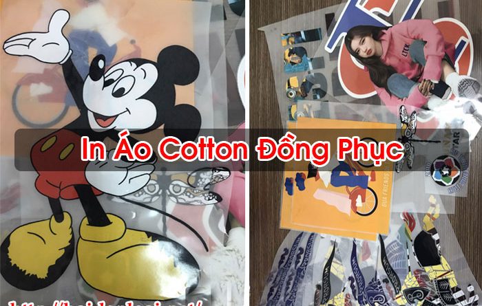 In Áo Cotton Đồng Phục