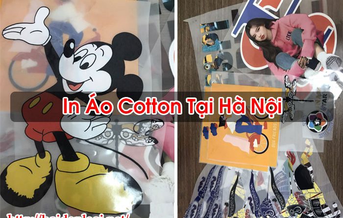 In Áo Cotton Tại Hà Nội