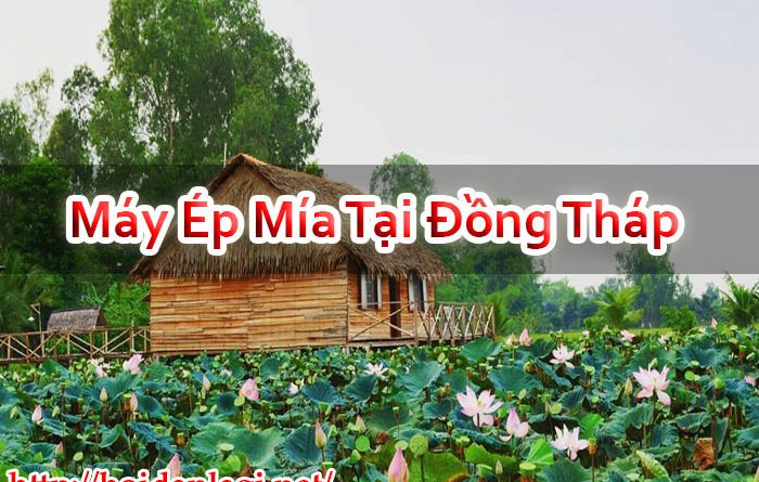 Máy Ép Mía Tại Đồng Tháp