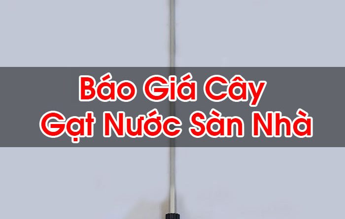 Báo Giá Cây Gạt Nước Sàn