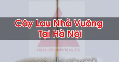 Cây Lau Nhà Vuông Tại Hà Nội