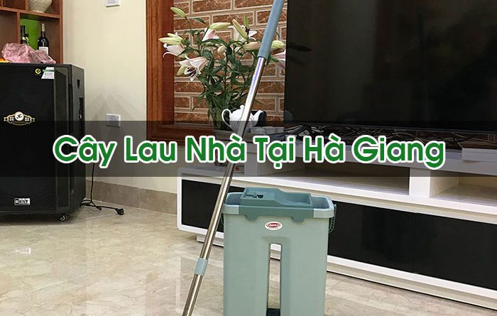 Cây Lau Nhà Tại Hà Giang