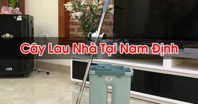 Cây Lau Nhà Tại Nam Định