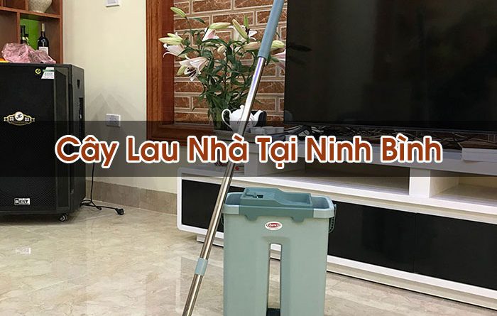 Cây Lau Nhà Tại Ninh Bình