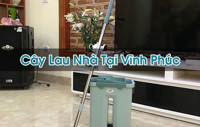 Cây Lau Nhà Tại Vĩnh Phúc