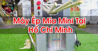 Máy Ép Mía Mini Tại Hồ Chí Minh
