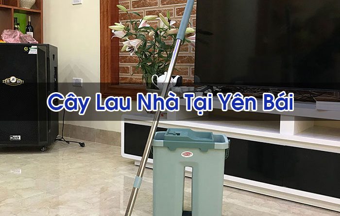 Cây Lau Nhà Tại Yên Bái