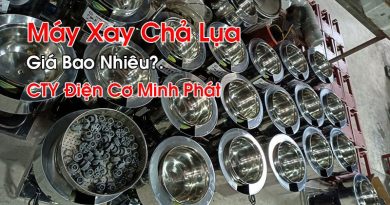 Máy Xay Chả Lụa Giá Bao Nhiêu