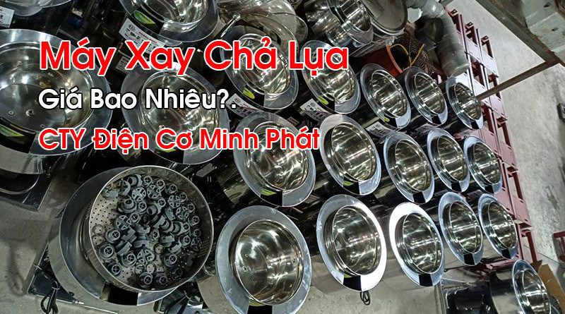 Máy Xay Chả Lụa Giá Bao Nhiêu